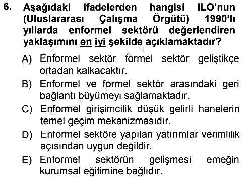 Ekonomi Sosyolojisi 2013-2014 Tek Ders Sınavı - 6. soru