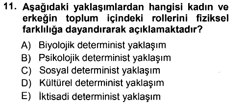 Ekonomi Sosyolojisi 2013-2014 Tek Ders Sınavı - 11. soru