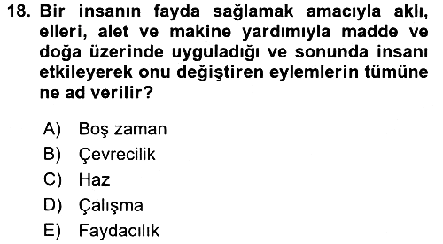 Ekonomi Sosyolojisi 2015-2016 Tek Ders Sınavı - 18. soru