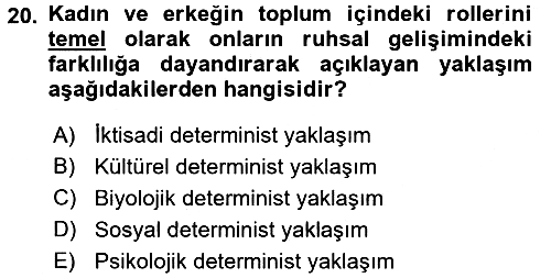 Ekonomi Sosyolojisi 2015-2016 Tek Ders Sınavı - 20. soru