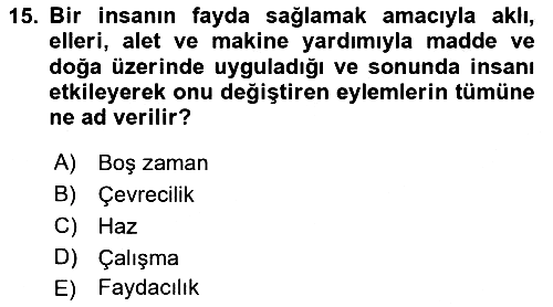 Ekonomi Sosyolojisi 2018-2019 Yaz Okulu Sınavı - 15. soru