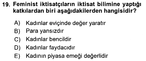 Ekonomi Sosyolojisi 2020-2021 Yaz Okulu Sınavı - 19. soru