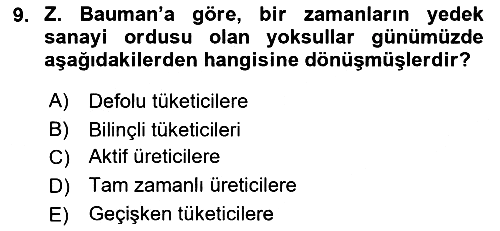 Ekonomi Sosyolojisi 2021-2022 Yaz Okulu Sınavı - 9. soru