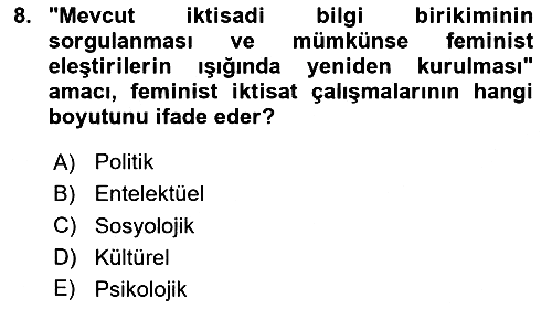 Ekonomi Sosyolojisi 2024-2025 Yaz Okulu Sınavı - 8. soru