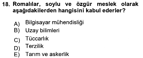 Ekonomi Sosyolojisi 2024-2025 Yaz Okulu Sınavı - 18. soru