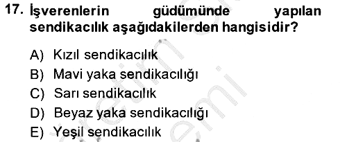 Endüstri Sosyolojisi 2013-2014 Ara Sınav - 17. soru