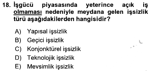 Endüstri Sosyolojisi 2016-2017 Ara Sınav - 18. soru