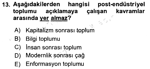 Endüstri Sosyolojisi 2024-2025 Ara Sınav - 13. soru