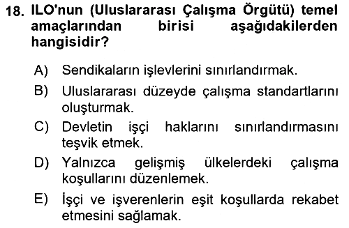 Endüstri Sosyolojisi 2024-2025 Ara Sınav - 18. soru