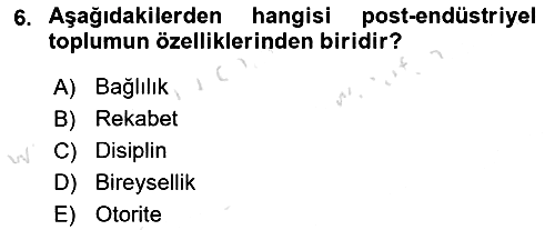 Endüstri Sosyolojisi 2025-2026 Ara Sınav - 6. soru