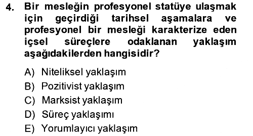 Endüstri Sosyolojisi 2013-2014 Dönem Sonu Sınavı - 4. soru