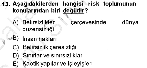 Endüstri Sosyolojisi 2014-2015 Dönem Sonu Sınavı - 13. soru
