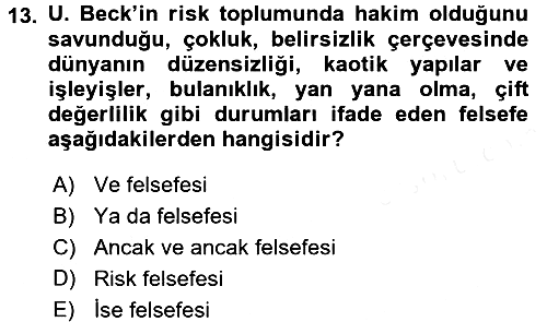 Endüstri Sosyolojisi 2017-2018 Dönem Sonu Sınavı - 13. soru