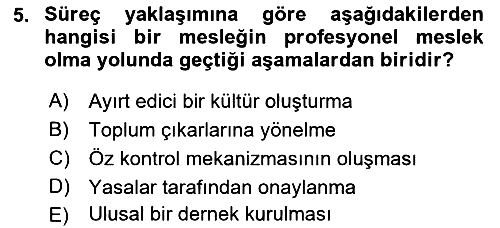 Endüstri Sosyolojisi 2018-2019 Dönem Sonu Sınavı - 5. soru