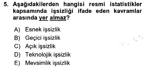 Endüstri Sosyolojisi 2023-2024 Dönem Sonu Sınavı - 5. soru