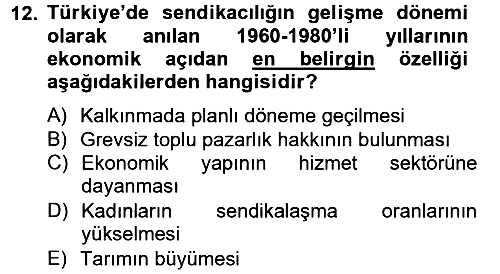 Endüstri Sosyolojisi 2013-2014 Tek Ders Sınavı - 12. soru