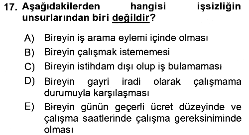 Endüstri Sosyolojisi 2015-2016 Tek Ders Sınavı - 17. soru