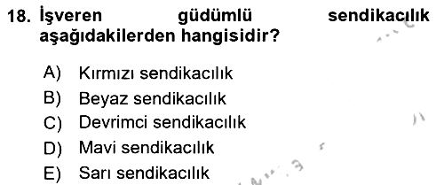 Endüstri Sosyolojisi 2018-2019 Yaz Okulu Sınavı - 18. soru