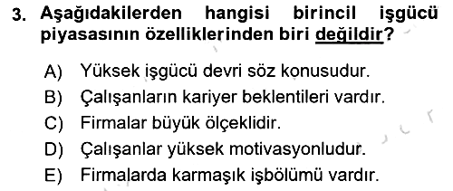 Endüstri Sosyolojisi 2021-2022 Yaz Okulu Sınavı - 3. soru
