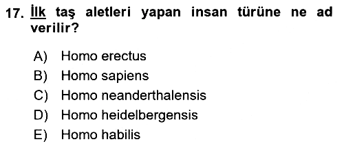 Genel Uygarlık Tarihi 2021-2022 Ara Sınav - 17. soru