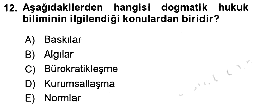 Hukuk Sosyolojisi 2018-2019 3 Ders Sınavı - 12. soru