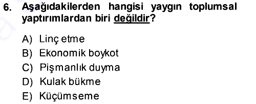 Hukuk Sosyolojisi 2013-2014 Ara Sınav - 6. soru