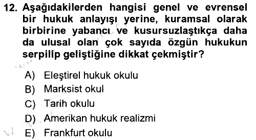 Hukuk Sosyolojisi 2024-2025 Yaz Okulu Sınavı - 12. soru