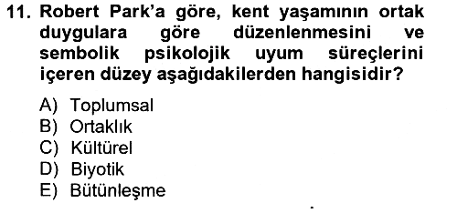 İnsan ve Toplum 2012-2013 Ara Sınav - 11. soru