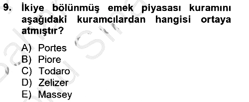 İnsan ve Toplum 2013-2014 Dönem Sonu Sınavı - 9. soru
