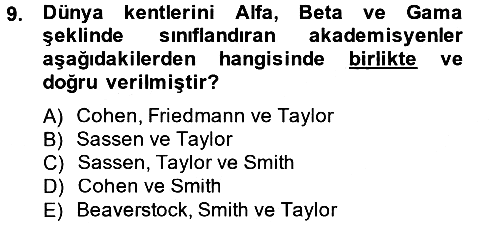 Kent Sosyolojisi 2013-2014 Tek Ders Sınavı - 9. soru