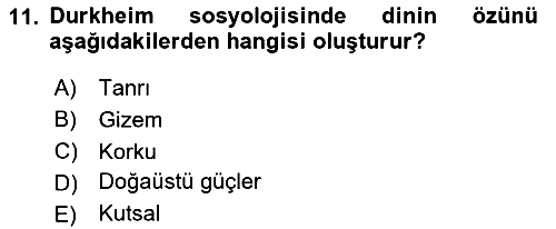 Klasik Sosyoloji Tarihi 2024-2025 Ara Sınav - 11. soru