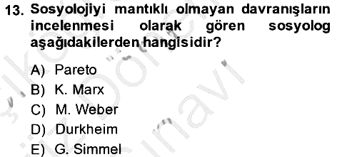 Klasik Sosyoloji Tarihi 2014-2015 Dönem Sonu Sınavı - 13. soru