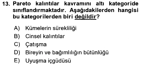 Klasik Sosyoloji Tarihi 2015-2016 Dönem Sonu Sınavı - 13. soru