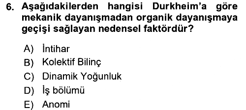 Klasik Sosyoloji Tarihi 2018-2019 Dönem Sonu Sınavı - 6. soru