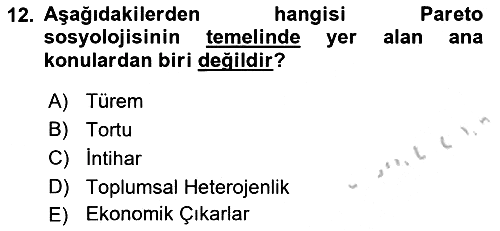 Klasik Sosyoloji Tarihi 2018-2019 Yaz Okulu Sınavı - 12. soru