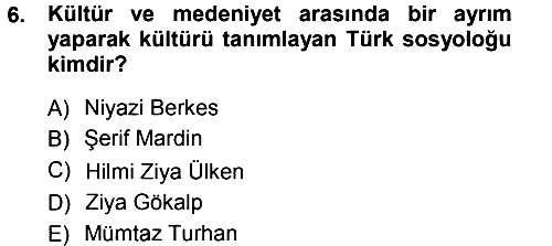 Kültür Sosyolojisi 2012-2013 Ara Sınav - 6. soru