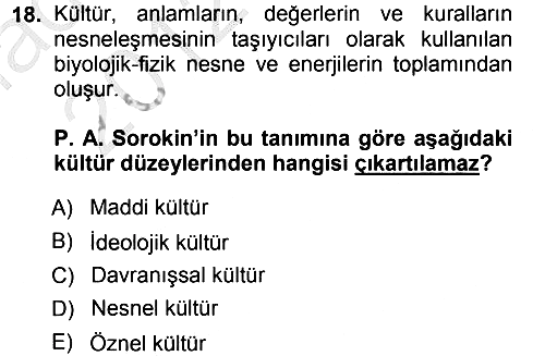 Kültür Sosyolojisi 2012-2013 Ara Sınav - 18. soru