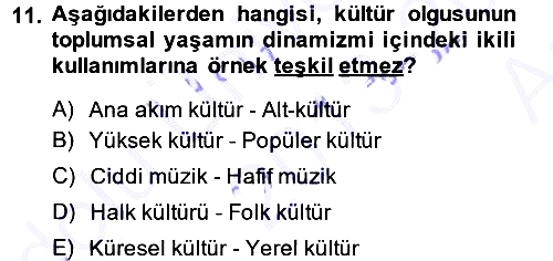 Kültür Sosyolojisi 2013-2014 Ara Sınav - 11. soru