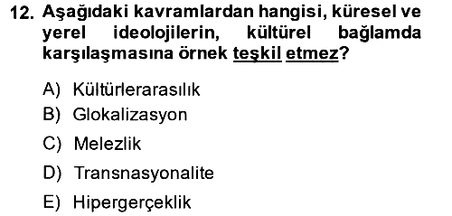 Kültür Sosyolojisi 2013-2014 Ara Sınav - 12. soru