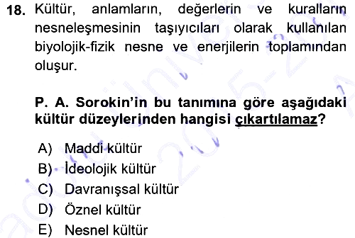 Kültür Sosyolojisi 2015-2016 Ara Sınav - 18. soru