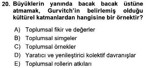 Kültür Sosyolojisi 2016-2017 Ara Sınav - 20. soru