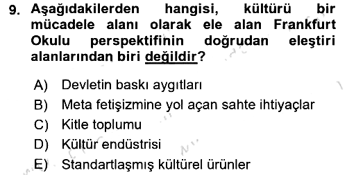 Kültür Sosyolojisi 2017-2018 Ara Sınav - 9. soru