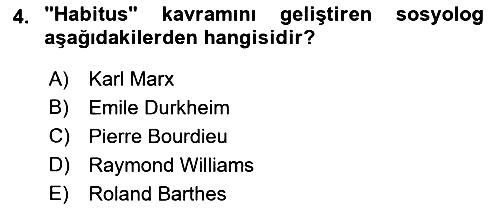 Kültür Sosyolojisi 2019-2020 Ara Sınav - 4. soru