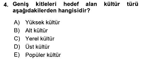 Kültür Sosyolojisi 2022-2023 Ara Sınav - 4. soru