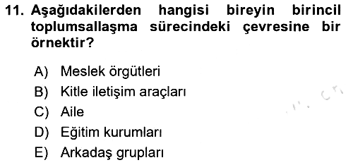 Kültür Sosyolojisi 2024-2025 Ara Sınav - 11. soru