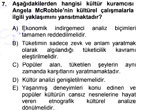 Kültür Sosyolojisi 2012-2013 Dönem Sonu Sınavı - 7. soru