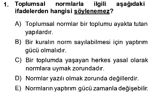 Kültür Sosyolojisi 2013-2014 Dönem Sonu Sınavı - 1. soru