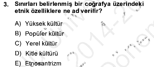 Kültür Sosyolojisi 2014-2015 Dönem Sonu Sınavı - 3. soru