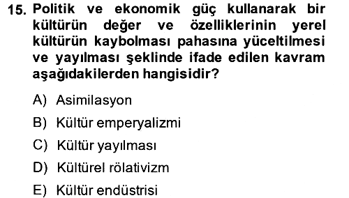 Kültür Sosyolojisi 2014-2015 Dönem Sonu Sınavı - 15. soru