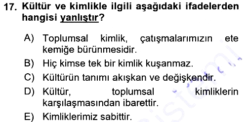 Kültür Sosyolojisi 2015-2016 Dönem Sonu Sınavı - 17. soru